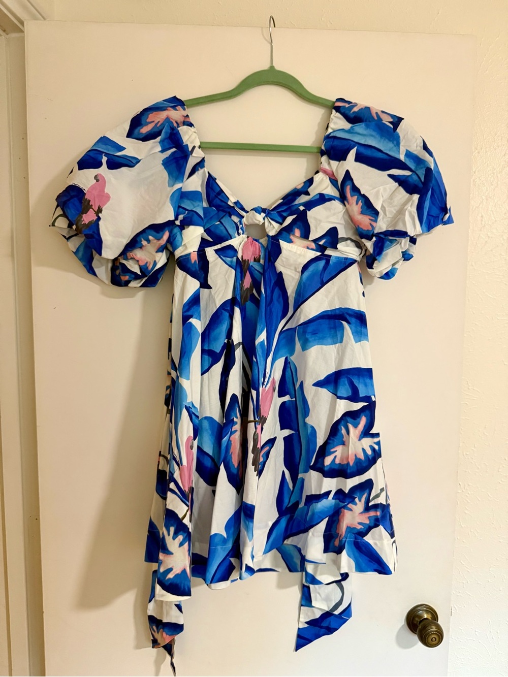 FARM Rio Blue & Pink Floral Puff-Sleeve Mini Dress